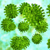 virus copy virus copy